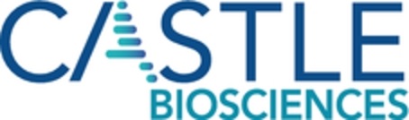 cstllogo0111.jpg
